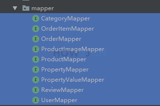 生成的Mapper类